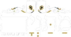 מתניה – הצעת מחיר
